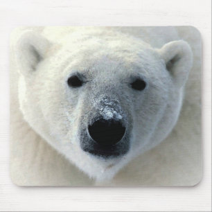 Mousepad Urso Polar