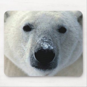Mousepad Urso Polar