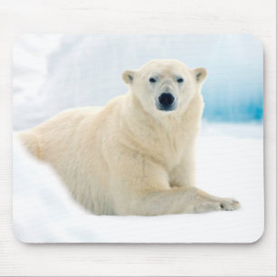 Mousepad Urso polar adulto grande javali no gelo de verão