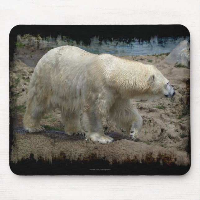 Mousepad Urso Polar Amante de Ursos Animais Ártico (Frente)