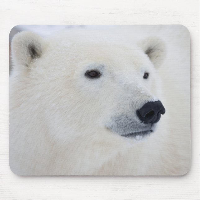 Mousepad Urso Polar Churchill (Frente)
