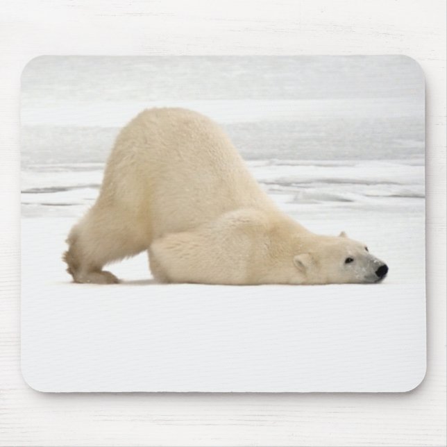 Mousepad Urso polar coçando-se na tundra congelada (Frente)
