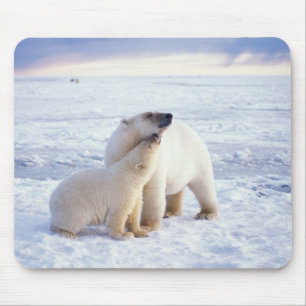 Mousepad Urso polar com filhote, maço de gelo