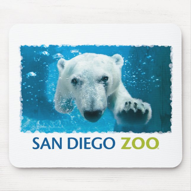 Mousepad Urso polar do jardim zoológico de San Diego (Frente)