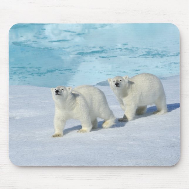Mousepad Urso Polar, duas xícaras no gelo, Ursus (Frente)