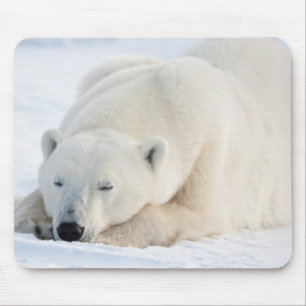 Mousepad Urso Polar no inverno