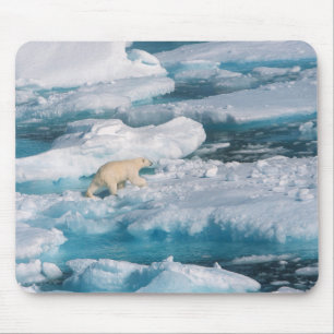 Mousepad Urso polar que anda no mar