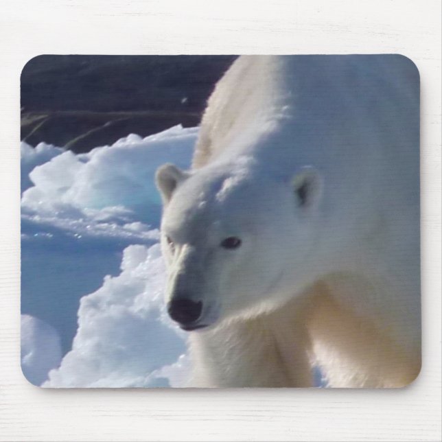 Mousepad Urso polar selvagem em Svalbard, (Spitsbergen) (Frente)