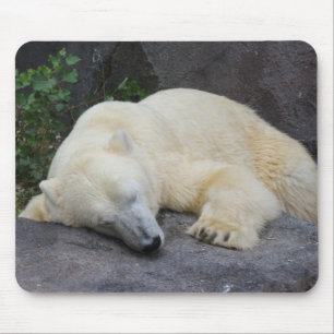 Mousepad Urso Polar Suspenso