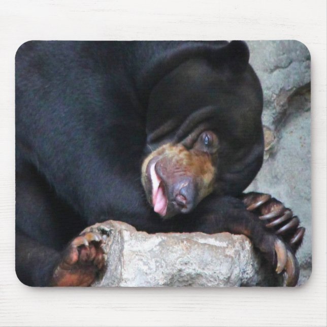 Mousepad Urso Sonolento (Frente)