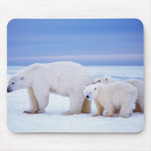 Mousepad Ursoaica polar cu pui (Frente)