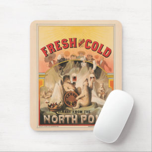 Mousepad Ursos Polares Estão Aproveitando Lâmpadas De Cerve