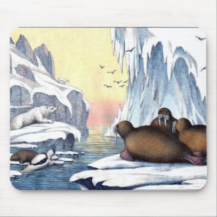 Mousepad Ursos Polares, Morsa E Selos