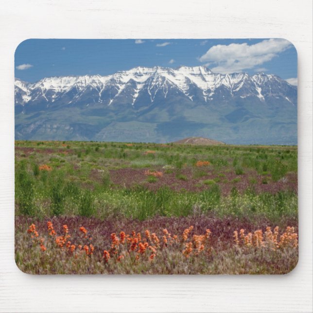 Mousepad Utah, EUA. O Mt. Timpanogos Aumenta Acima (Frente)