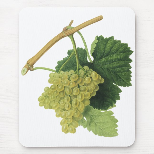 Mousepad Uvas de vinho branco na vinha, Fruta de Comida de  (Frente)