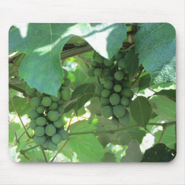 Mousepad Uvas nas videiras (Frente)