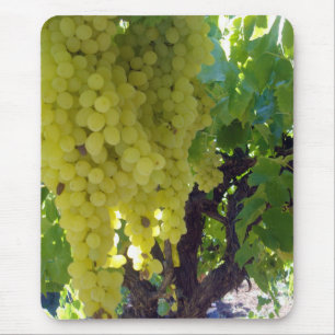 Mousepad Uvas Sultana Numa Vinha De Uva,