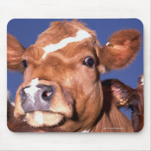 Mousepad vaca 2