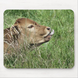 MOUSEPAD VACA BONITO