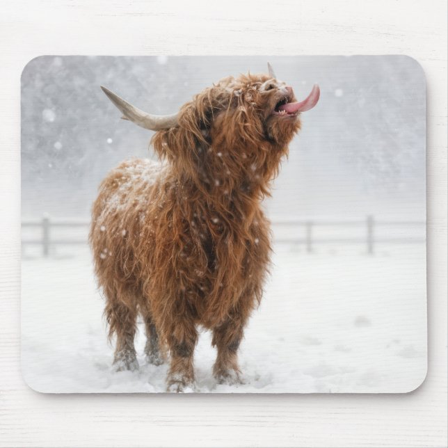 Mousepad Vaca das Terras Altas da Escócia Lambendo Flocos d (Frente)