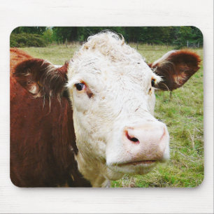Mousepad Vaca de carne enfrentada branca