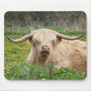 Mousepad Vaca de Highland escocesa