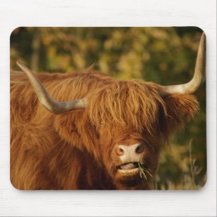Mousepad Vaca de Highland escocesa