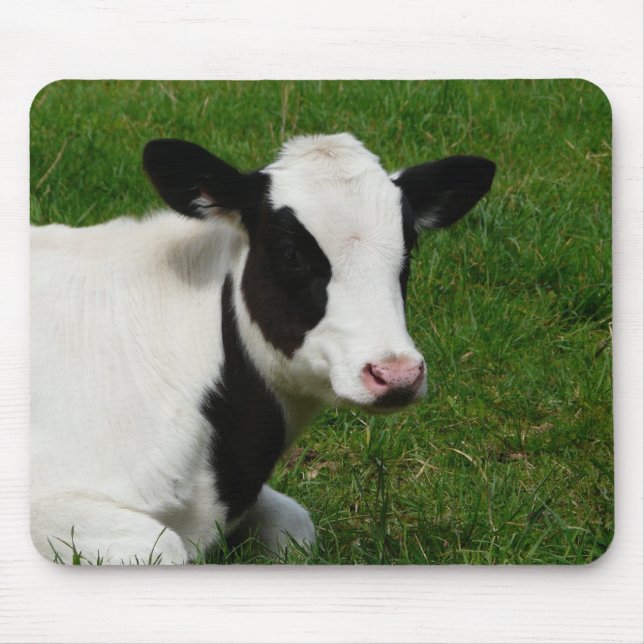 Mousepad Vaca de leite da leiteria de Holstein na grama (Frente)