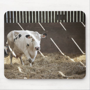 Mousepad Vaca de leiteria