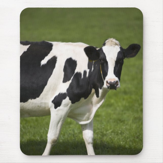 Mousepad Vaca do frisão (Frente)