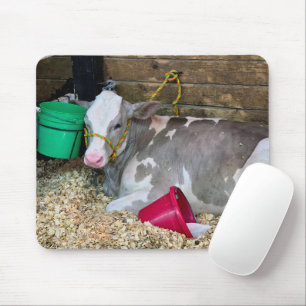 Mousepad Vaca em um curral de celeiro com baldes
