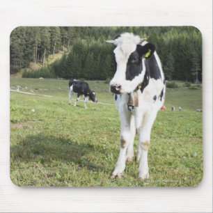 Mousepad Vaca em um prado, Fie Sciliar Allo, alto Adige,