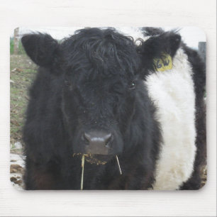 Mousepad Vaca Galloway Abaixo Comendo Hay
