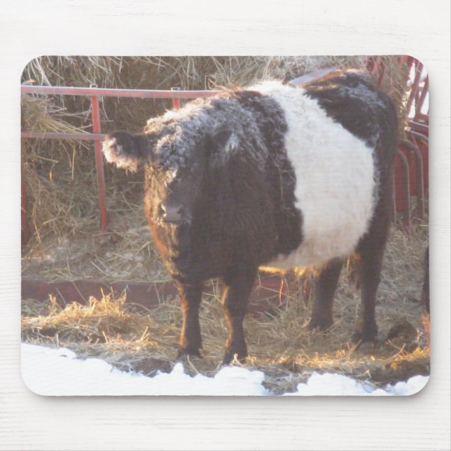 Mousepad Vaca Galloway Congelada Abaixo (Frente)