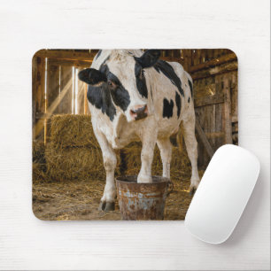 Mousepad Vaca Holstein em Pé em um Balde Enferrujado