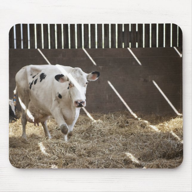 Mousepad Vaca leiteira (Frente)
