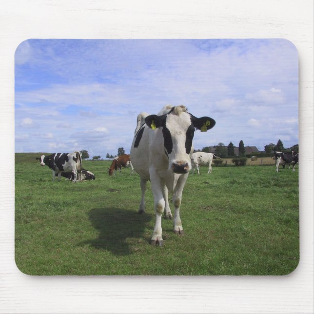 Mousepad Vacas (Frente)