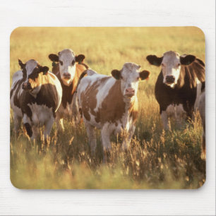 Mousepad Vacas