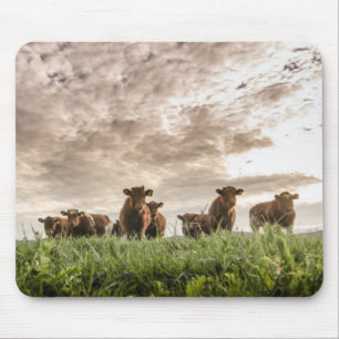 Mousepad Vacas