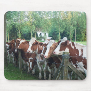Mousepad Vacas curiosas