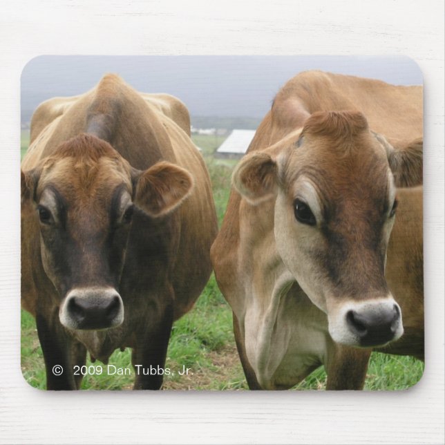 Mousepad Vacas curiosas (Frente)