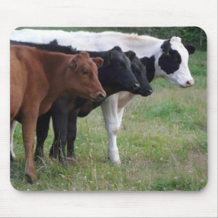 Mousepad Vacas em seguido