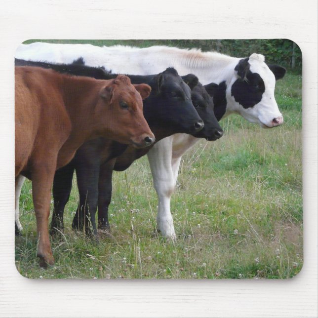 Mousepad Vacas em seguido (Frente)