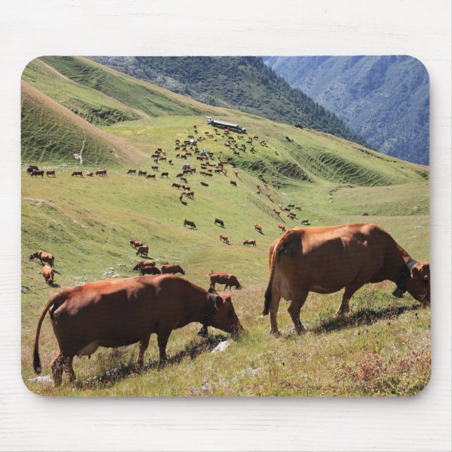 Mousepad vacas em Tarentaise Valley - raça Tarine (Frente)