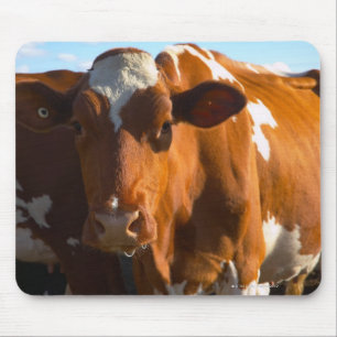 Mousepad Vacas na fazenda