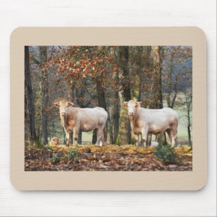 Mousepad Vacas na floresta, France