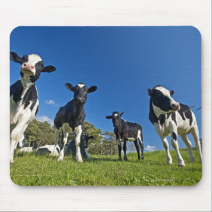 Mousepad Vacas que alimentam no pasto