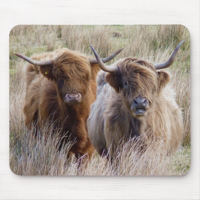 Mousepad Vacas Terrestres Escocesas (Frente)