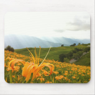 Mousepad Vale dourado da flor do hemerocallis