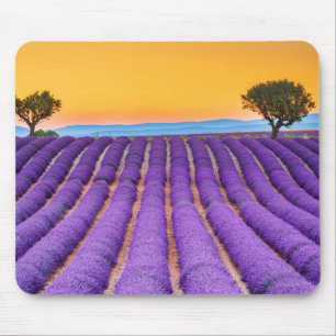 Mousepad Valensole - França